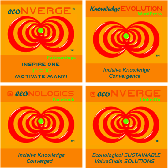 ecoNVERGE groups